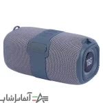 اسپیکر بلوتوثی تی اند جی TG667 - Image 4